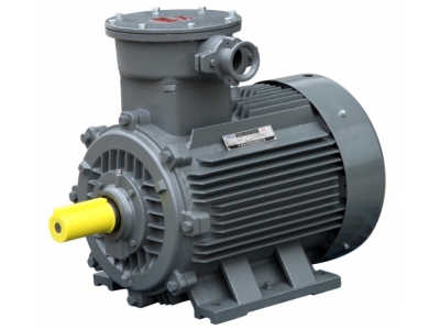 TECO東元防爆電機 | TECO Exd IIBT4 防爆電機 高效電機