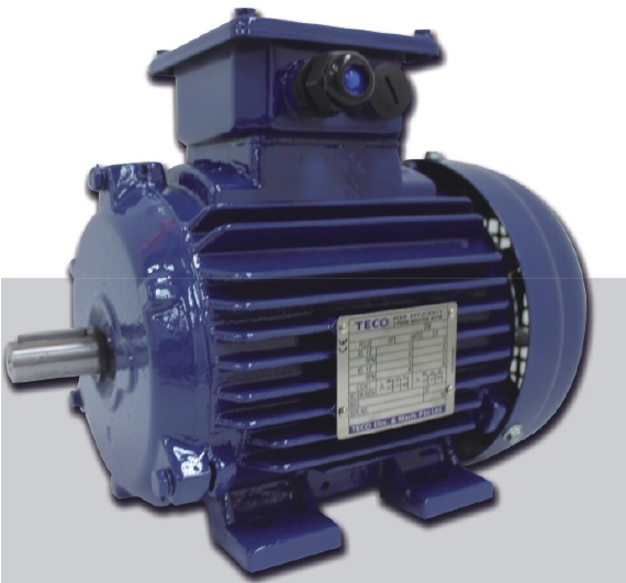 東元TEV3高效三相異步電機(jī) | TECO AEEV3N AEUV3N 高效電機(jī)