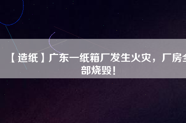 【造紙】廣東一紙箱廠發(fā)生火災(zāi)，廠房全部燒毀！