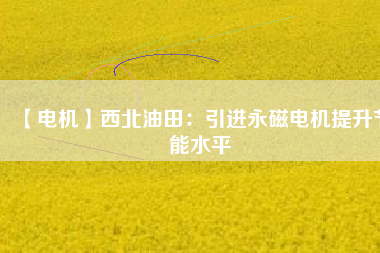 【電機】西北油田：引進永磁電機提升節能水平 - TECO東元電機 | 變頻器·伺服電機·減速機·電機解決方案