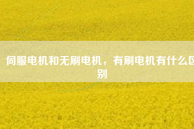 伺服電機和無刷電機,有刷電機有什么區(qū)別
