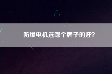 防爆電機選哪個牌子的好?