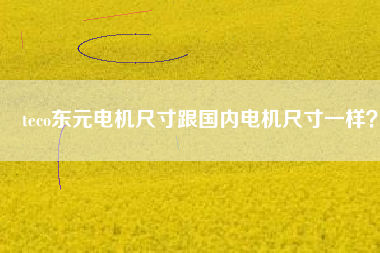 teco東元電機(jī)尺寸跟國內(nèi)電機(jī)尺寸一樣?