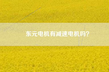 東元電機(jī)有減速電機(jī)嗎?
