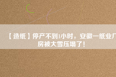 【造紙】停產不到1小時，安徽一紙業廠房被大雪壓塌了！