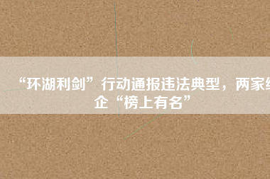 “環(huán)湖利劍”行動(dòng)通報(bào)違法典型，兩家紙企“榜上有名”