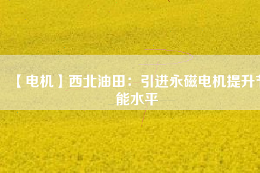 【電機】西北油田：引進永磁電機提升節能水平 - TECO東元電機 | 變頻器·伺服電機·減速機·電機解決方案