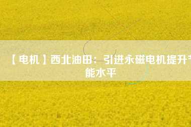 【電機】西北油田：引進永磁電機提升節能水平 - TECO東元電機 | 變頻器·伺服電機·減速機·電機解決方案