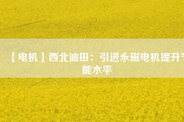 【電機】西北油田：引進永磁電機提升節能水平 - TECO東元電機 | 變頻器·伺服電機·減速機·電機解決方案