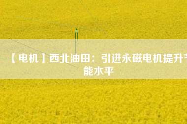 【電機】西北油田：引進永磁電機提升節能水平 - TECO東元電機 | 變頻器·伺服電機·減速機·電機解決方案