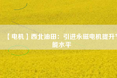 【電機】西北油田：引進永磁電機提升節能水平 - TECO東元電機 | 變頻器·伺服電機·減速機·電機解決方案