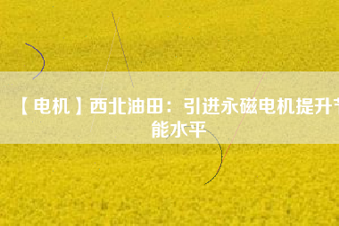 【電機】西北油田：引進永磁電機提升節能水平 - TECO東元電機 | 變頻器·伺服電機·減速機·電機解決方案