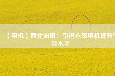 【電機】西北油田：引進永磁電機提升節能水平 - TECO東元電機 | 變頻器·伺服電機·減速機·電機解決方案