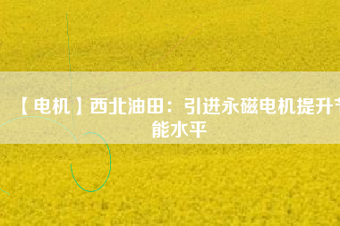 【電機】西北油田：引進永磁電機提升節能水平 - TECO東元電機 | 變頻器·伺服電機·減速機·電機解決方案