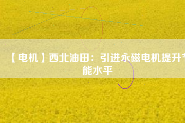 【電機】西北油田：引進永磁電機提升節能水平 - TECO東元電機 | 變頻器·伺服電機·減速機·電機解決方案