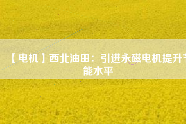 【電機】西北油田：引進永磁電機提升節能水平 - TECO東元電機 | 變頻器·伺服電機·減速機·電機解決方案
