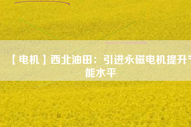 【電機】西北油田：引進永磁電機提升節能水平 - TECO東元電機 | 變頻器·伺服電機·減速機·電機解決方案