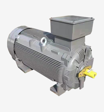 東元 AESV 粉塵防爆電機(jī) | TECO ExtD A21 / IP66 防爆電機(jī)